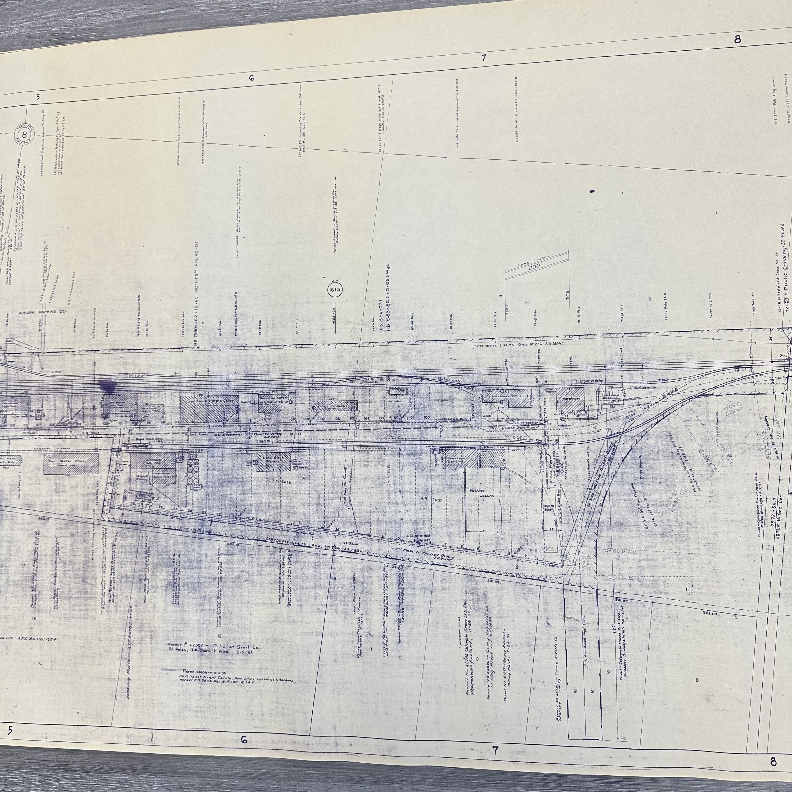 1954 Great Northern Railway Map Quincy Washington WA Blueprint Copy 84” x 24”