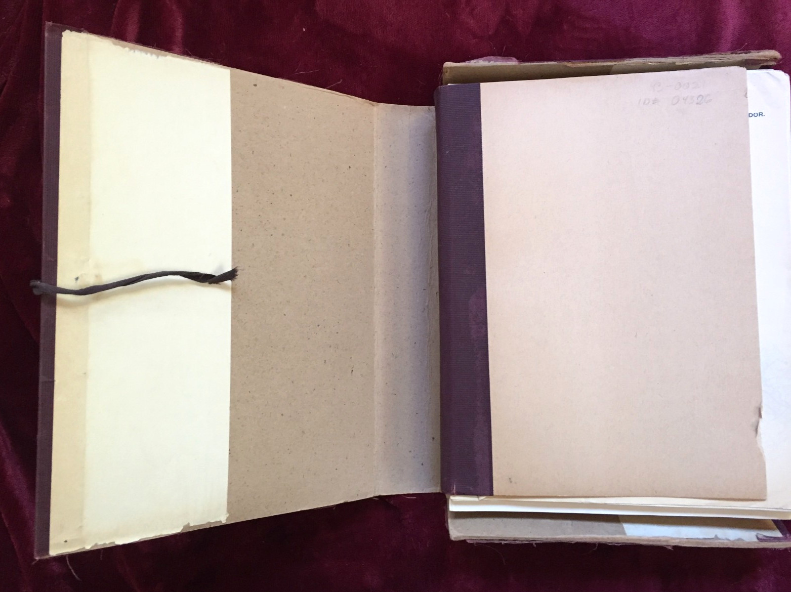 1895 INTERCONTINENTAL RAILWAY SURVEY – Over 100 MAPS & Profiles – South America